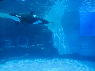 名古屋港水族館