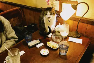 カフェアルル