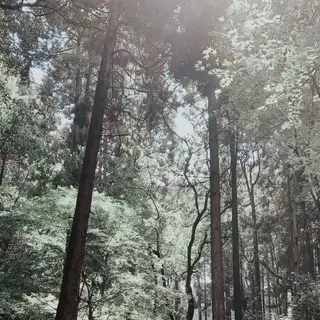 天拝山歴史自然公園