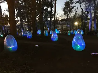 武蔵野樹林パーク