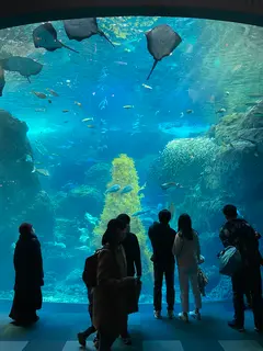 新江ノ島水族館