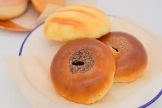 パンのなる木
