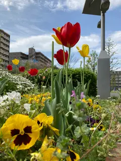 蒔田公園