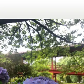 保和苑