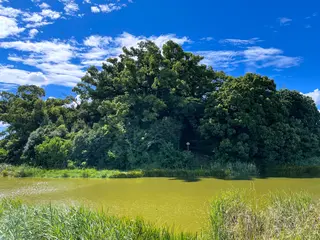 御廟山古墳