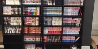 たくさんの猫たちとまったり♪