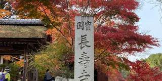 国宝・湖南三山と滋賀のおしゃれカフェをめぐる旅