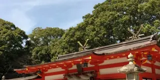 秘湯、上湯温泉♨に一泊して、熊野三山パワースポット神社を巡る