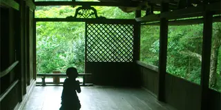 ちょっと遠くまで！