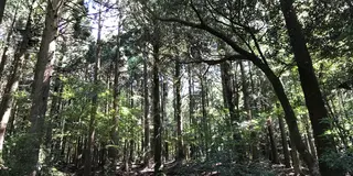 天城を越えて…天城に泊まる！