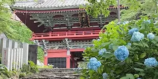 【常総・結城・桜川エリア】人気の定番観光スポット５選！