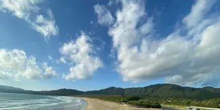 【高知】ご当地グルメ・絶景スポットまとめ🌊🐟