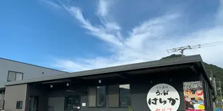【香川】坂出・丸亀・善通寺の絶品うどんまとめ✨
