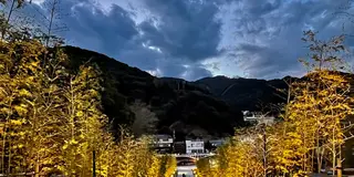 山口県の人気スポット「長門」