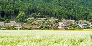 【美山】おやつをつまみながら日本の原風景を歩く♪ かやぶきおやつさんぽ