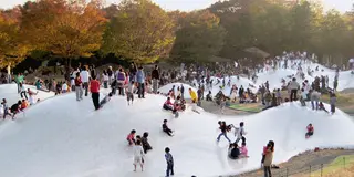 今熱い！立川の週末