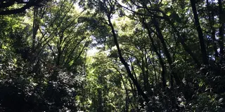 都心で自然を満喫できるスポット