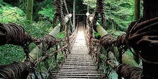 自然がいっぱい徳島県！