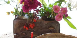 特急「踊り子」で行く修善寺・日本の風景