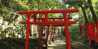 ［湯河原］たぬき伝説、足湯、グルメを堪能♪　すぐ隣は静岡県なのだ！