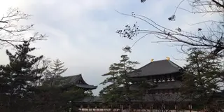 元旦は奈良で！スペシャルな初詣プラン♪