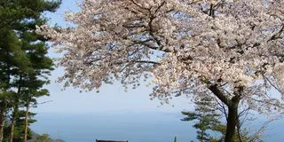 笠岡で春のプチハイキング＆サイクリング