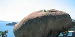 都会から来た人を案内する笠岡諸島の裏グルメツアー