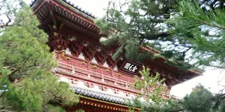 狭～く深～く♪京都大徳寺歴史探訪＆周辺のお店へ