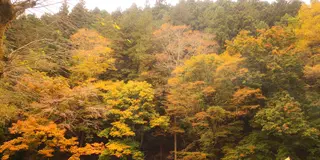 懐かしくのんびりできるキャンプ場と古民家カフェ