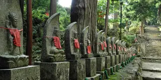 女人高野室生寺と西国三十三所観音を巡る旅