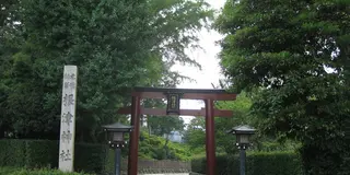 のんびり谷中散歩