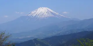 ［神奈川県山北］ 大野山登山で日頃の運動不足解消でも♪