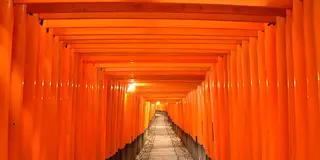 １日完結！本当は教えたくない京都巡り。