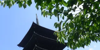 京都、東寺で楽しいお参りを…！