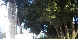 長居公園で楽しむ家族の団らん。玉子サンドをお土産に