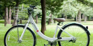自転車で円山満喫プラン
