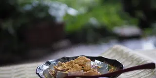社会に揉まれ、都会に疲れたみなさん！香川県に来て癒されまい。