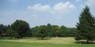 光が丘公園で散歩