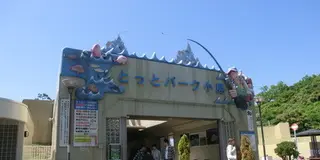 とっとパークで海釣りを楽しみ、みさき公園で絶叫、里海公園で海水浴。夏を楽しむなら泉南郡へＧＯ！