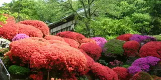 平瀬川流域の歴史を巡る