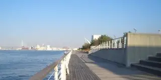 大阪湾に面した大阪市住之江区。大阪府咲洲庁舎最上階から大阪平野を一望