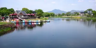 ハナウタカジツがオススメする江津湖近隣の半休日の使い方