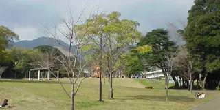 鉄輪温泉食べ歩きウォーク
