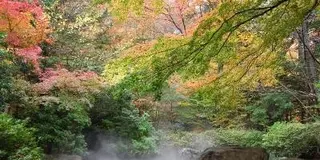 那須！！　「秋」