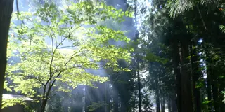 パワースポットマニアさんと巡る富山県の聖地