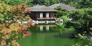 東京から来た親とゆっくりくつろぎました
