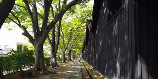 酒田の思い出をつらつらと書いていたら思いの外結構な量になりました。