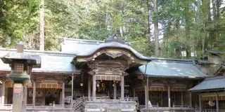 ついに今年！諏訪大社「御柱祭」 ぶらり散歩