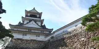 高知の有名どころ観光＆美味いもの