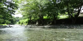 自然しかない。だけどステキな自然がここにはある。